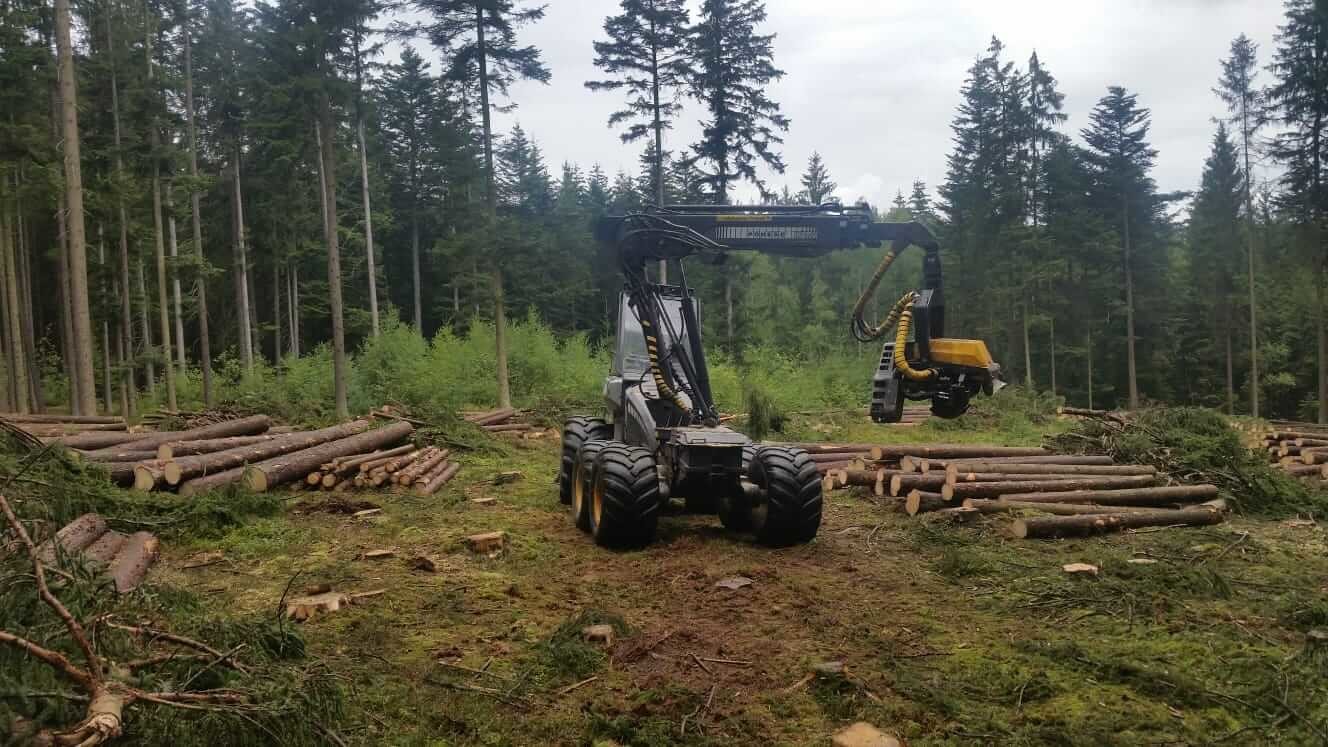 Harvester mit den verschiedenen Holzsortimenten.