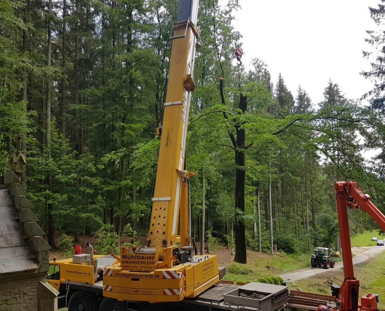 Problembaumfällung mit Autokran.