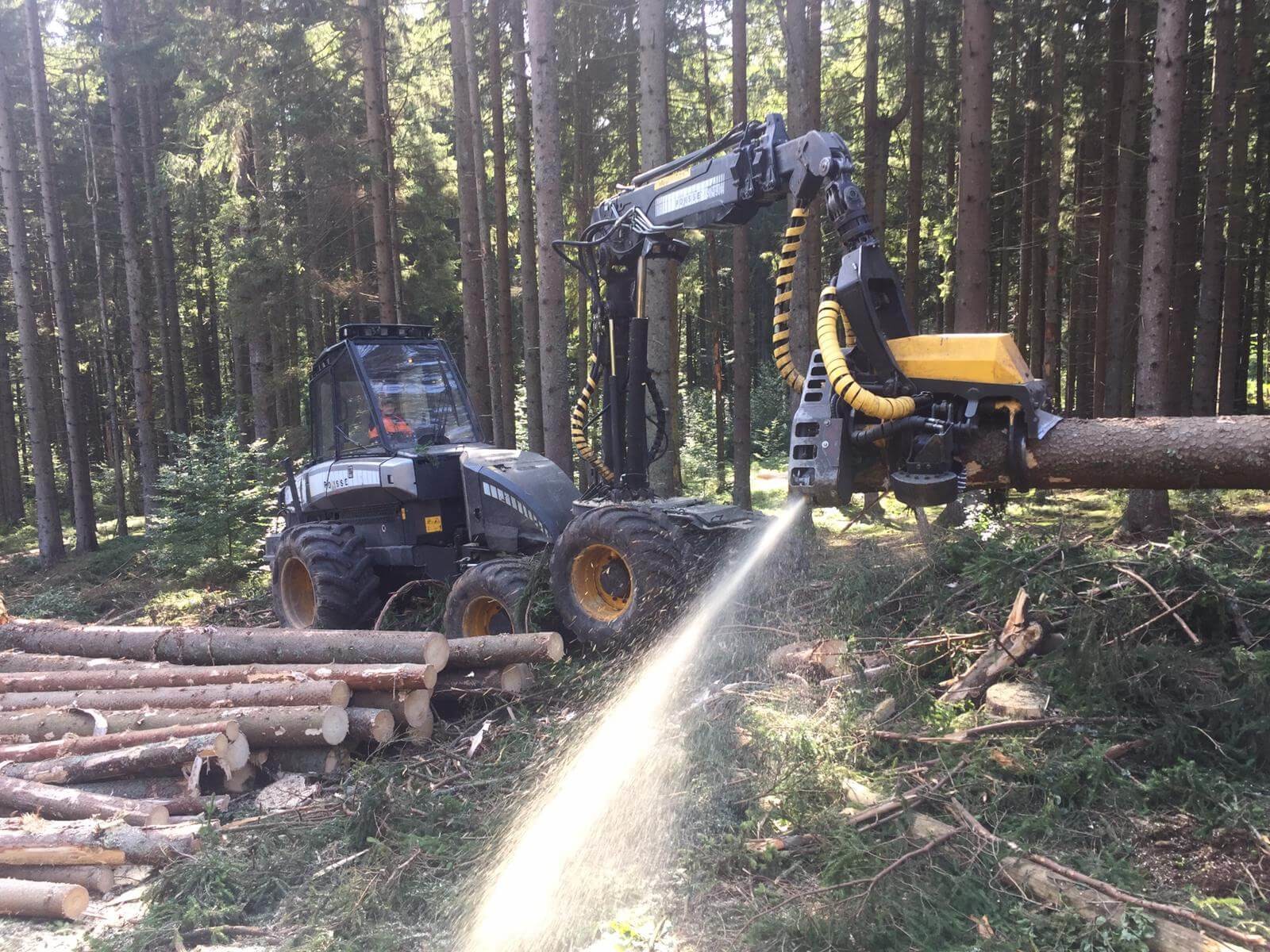 Harvester beim Schneiden.