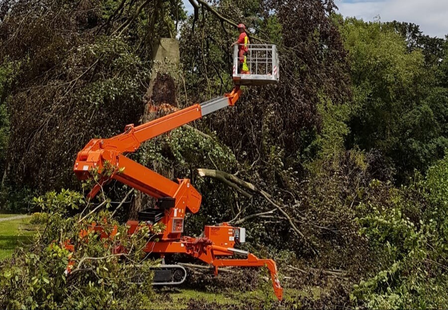 Problembaumfällung mit Hubsteiger.