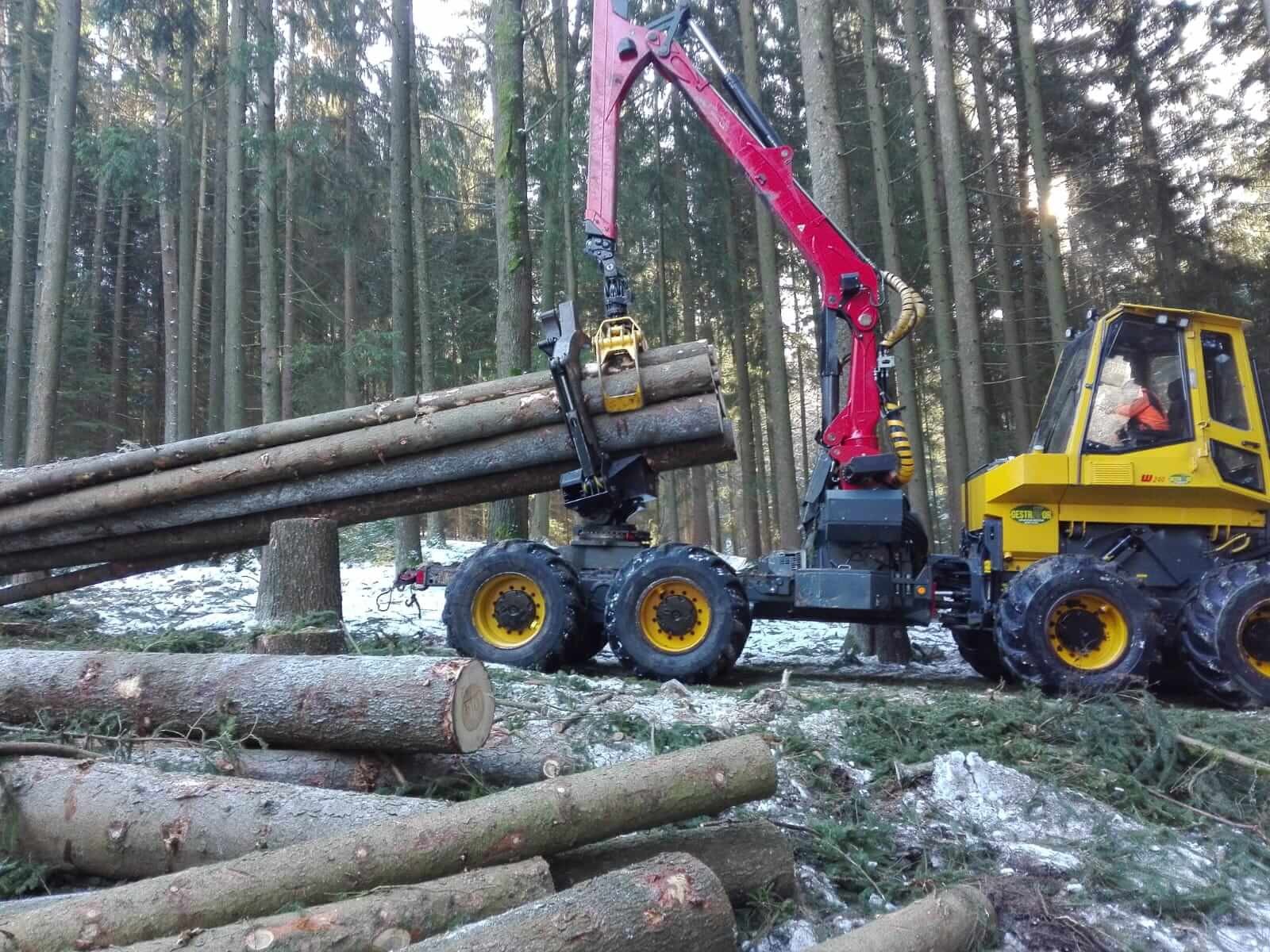Rückezug beim Langholz rücken.