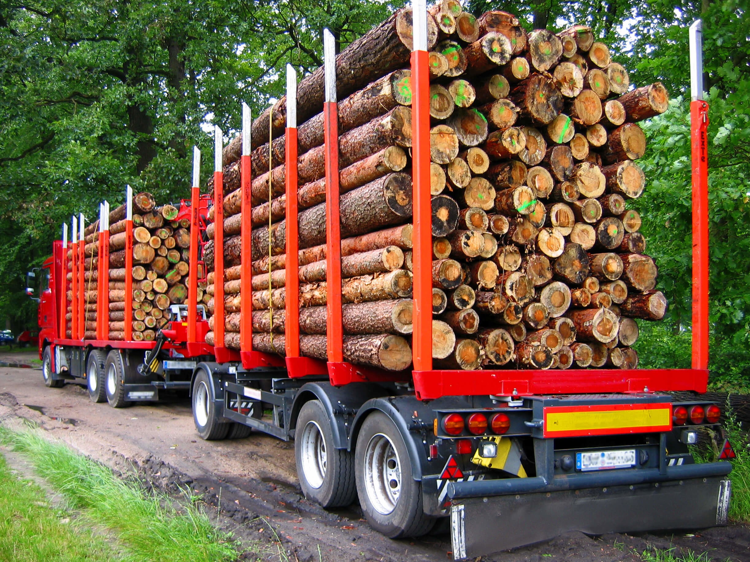 Holztransporter