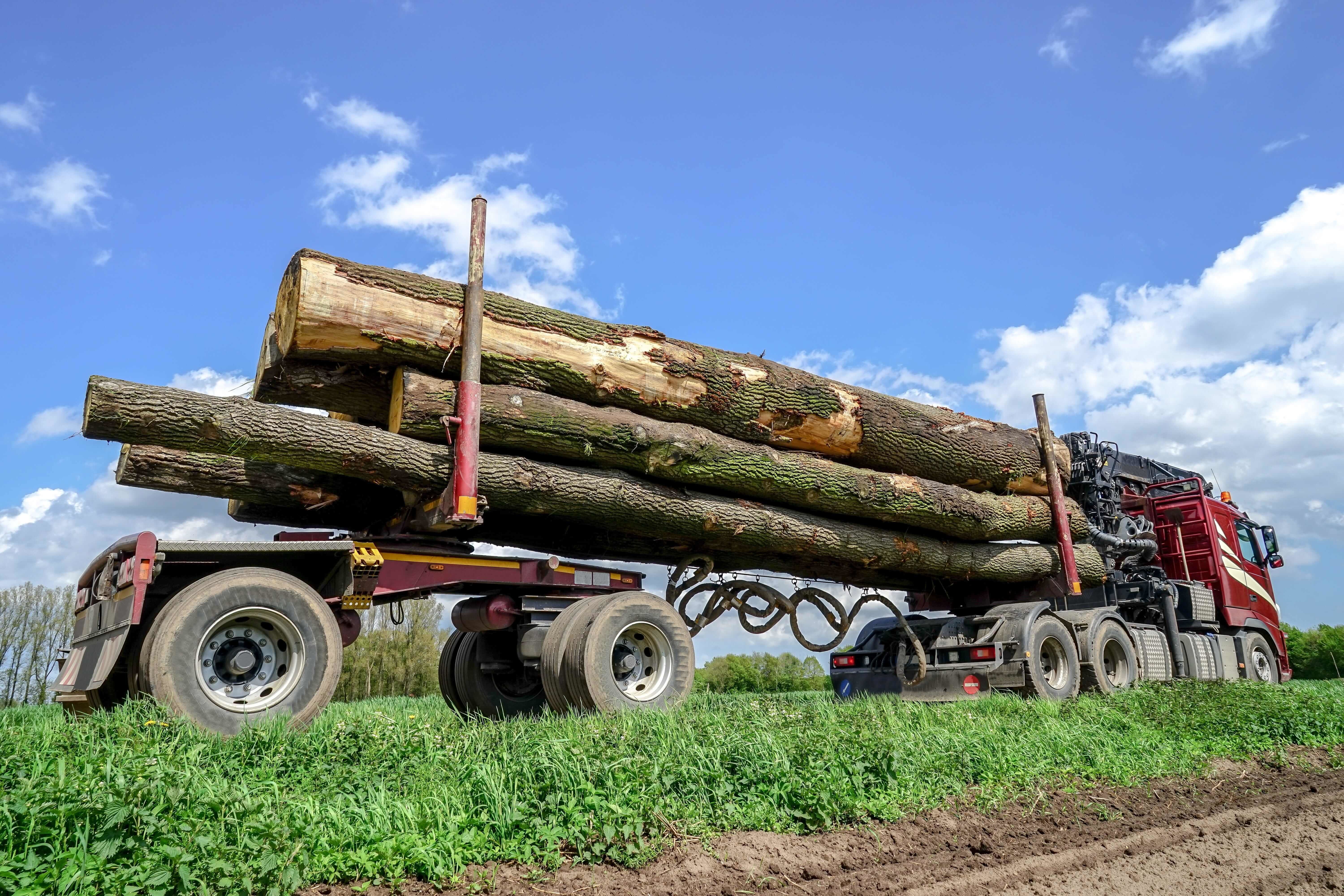 Holztransporter für Langholz